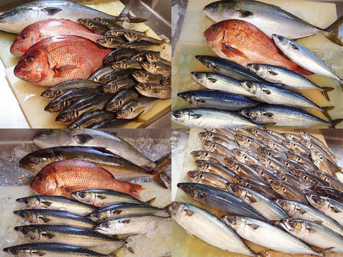 新鮮で美味しい地魚使ってます