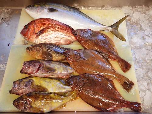 高級魚　出前