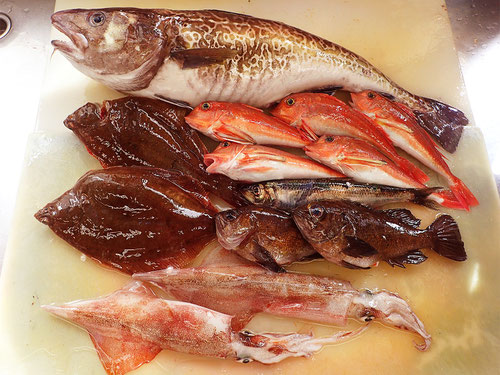 秋田の地魚　高級寿司