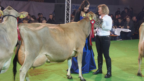 Felicia mit dem Schöneuterpreis älterer Kühe