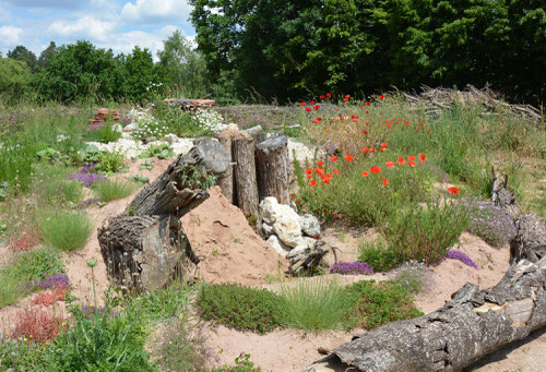 Eidechsenburg im Juni 2023 (Foto: F. Durst)