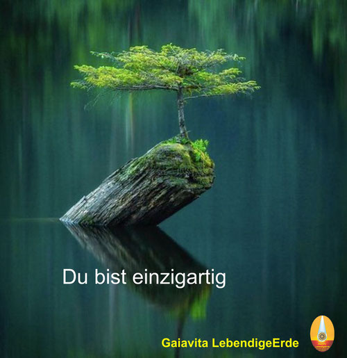 Beratung Geomantie