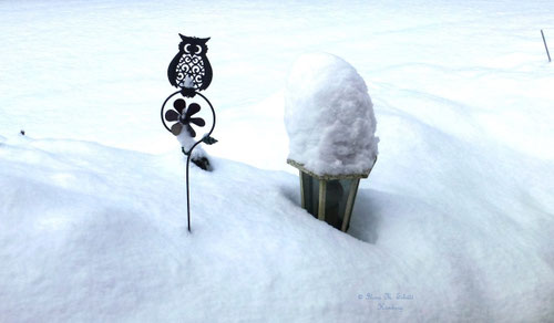 Schnee in Hamburg, 02.2018;  Copyright: Ilona M. Schütt, www.basenfasten-hamburg.net