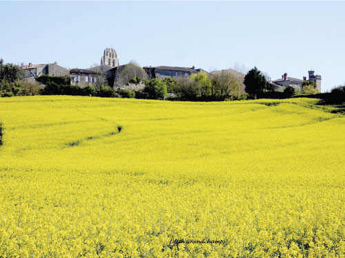 Saint Julia - Crédit photo : Edith Grandchamps