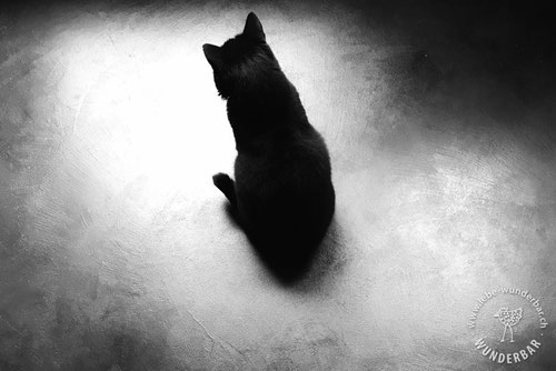 Fugenlose Bodenbeläge - Wunderbar Zürich