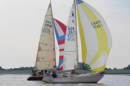 Strolch mit den Gebrüder Langhans auf Spikurs bei der Oberndorfer Herbstregatta. Foto: Henning Kuhne (SGO)