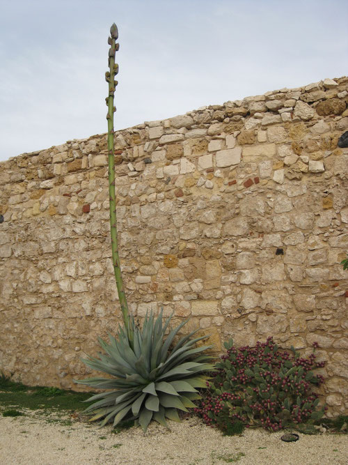 Im Castello von Siracusa