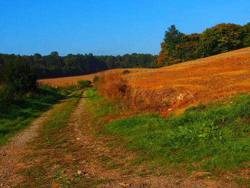 auf kleinsten Nebenwegen waren wir unterwegs - wir streckten uns der Morgensonne entgegen