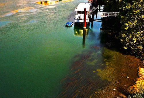 Hausboote auf der grünen Rhone