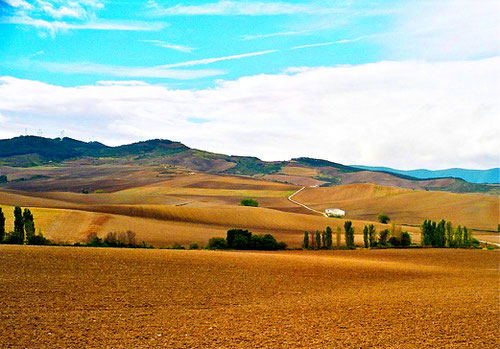 weite Horizonte südlich der Pyrenäen