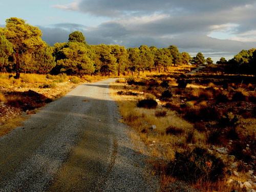 die historische Paßstrasse hinauf in die Sierra Nevada