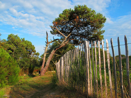 Rundweg um den grössten Tumulus - Grabhügel von Europa