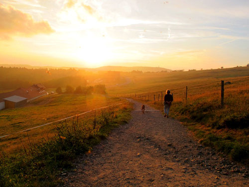 ein Weg hinein ins Abendlicht - es gibt nicht Schöneres