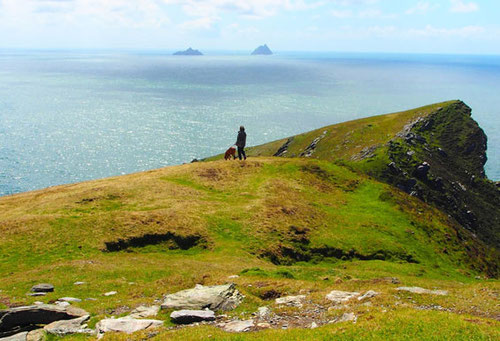 Über den Klippen von Dungarvanbay