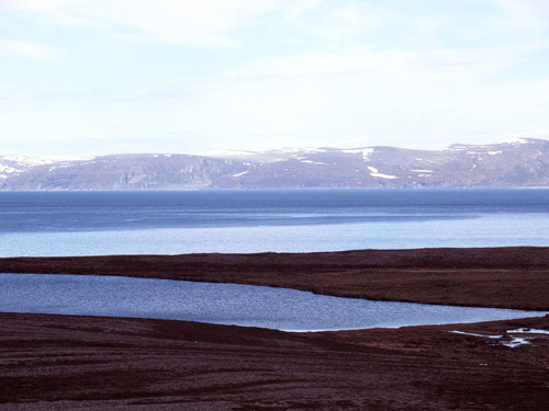 grafische Landschaftsbilder 