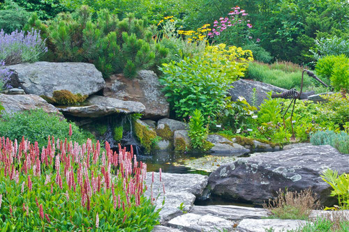 The water feature at Distant Hill Garden photographed in mid July. 