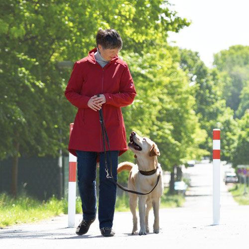 Eine Frau führt einen Labrador.