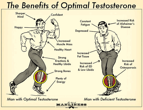 Optimal Testosteron Bosster long jack