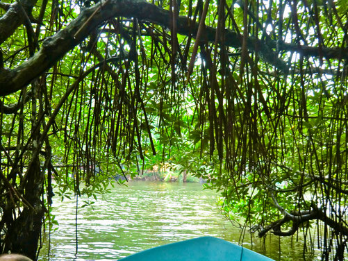 Riviersafari 