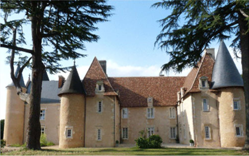 Chateau Du Breuil A Vernon 86340
