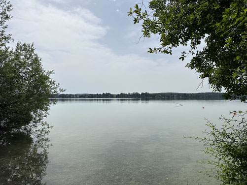 Ein seltener Blick vom Ufer auf den See