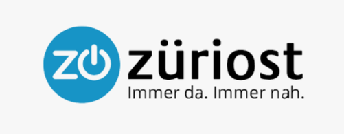 (Symbolbild: Auftritt «Züriost»)