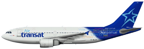 Aircraft Type: Airbus A310-300