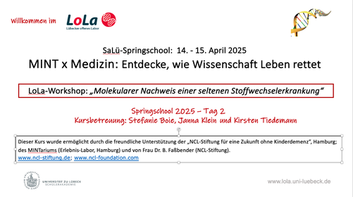  © Lübecker offenes Labor