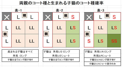 交配によるロング、ショートコートの産まれ方（1）