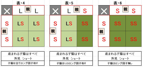 交配によるロング、ショートコートの産まれ方（2）