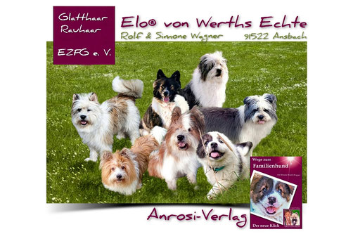 Elo Blog Archiv 