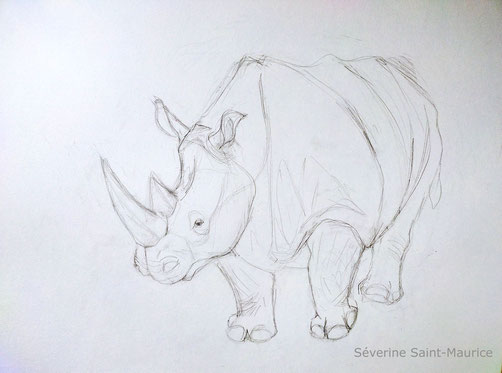 severine saint-maurice, lescerclesdelumiere.com,rhinoceros