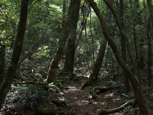 darkfolkloretourism