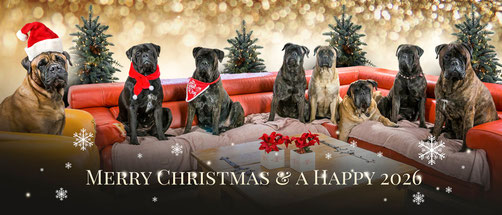 L/R Caro, Mini, Doris, Blacky, Summer, Neeltje, Viva en Sjors