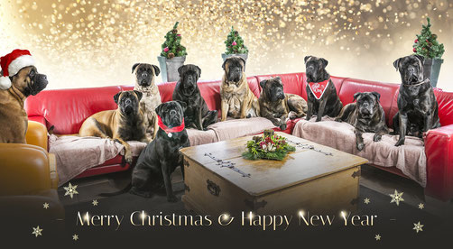L/R Caro, Stacey, Mini, Summer, Viva, Neeltje, Sjors, Doris, Blacky en Saartje