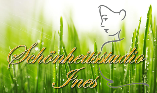 schoenheitsstudio-iness Webseite!