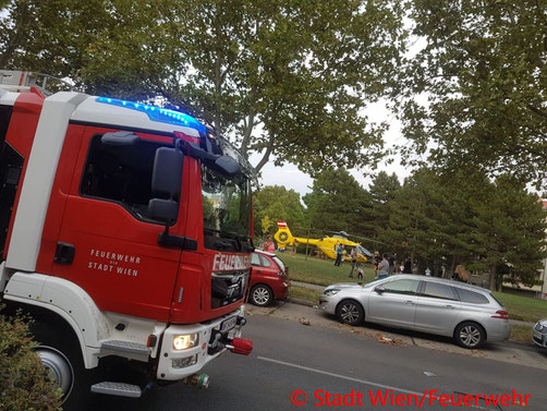 Feuerwehr, Blaulicht, Berufsfeuerwehr Wien, Wiederbelebung, First Responder, Liesing