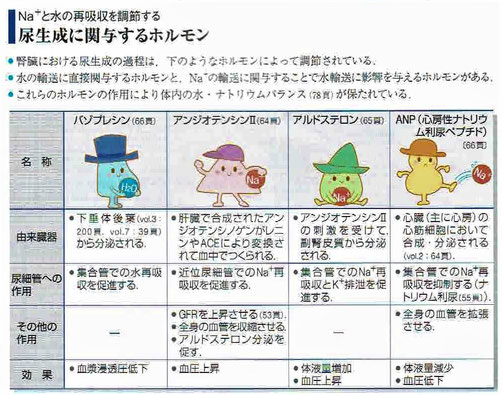 「病気がみえる 腎・泌尿器」より