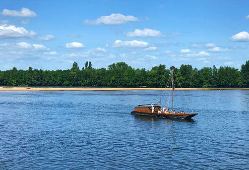 Une des activités phares de notre région - balade en bateau traditionnel pour observer la faune sauvage, apprendre sur la Loire et son patrimoine