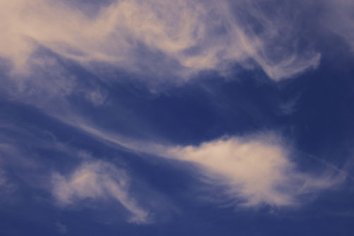 Lebensentscheidung, Hausverkauf