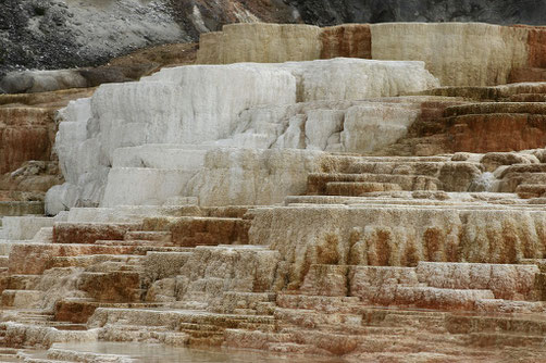 Terrassen der Mammoth Hot Springs im Yellowstone National Park