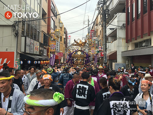 旗岡八幡神社 宮神輿完成披露渡御 ＠2017.7.16