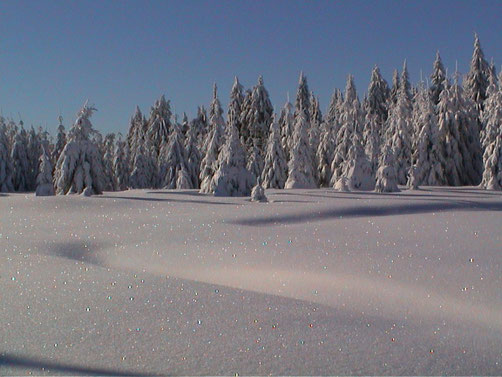 Winter auf dem Schiefergebirgsplateau