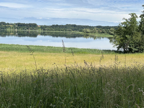 Wunderschöne Moorlandschaft um den See