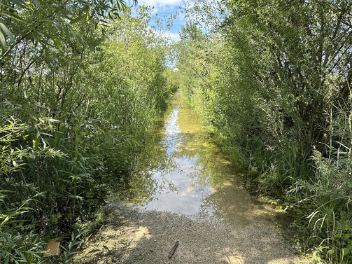 von Wasser überspülter Weg - hat auch was!