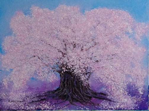 油絵　千樹の桜　（300x400x10） 15,000　既成額縁には入りません（送料込み）