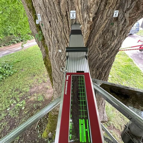 Bohrwiderstandsmessung zur Baumkontrolle Baumpflege Kubin