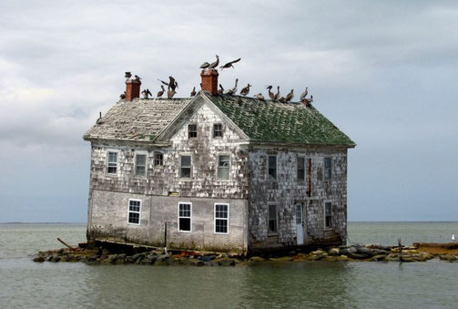       This looks a lot like the farm house I grew up in and whats funny is this is what it will look like in the future with pelicans and seagulls on the roof instead of shingles and the occasional buzzard.