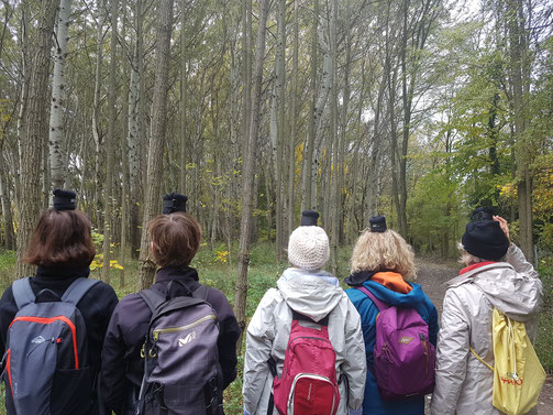 marche nordique bâton nordic walking manosque plein air gym cours extérieur fitness