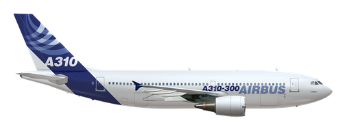 Aircraft Type: Airbus A310-300